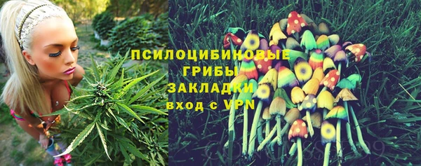 бошки Нефтекумск